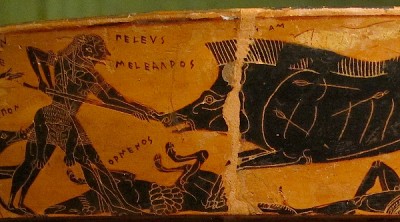 Peleus und Meleagros im Kampf mit dem Kalydonischen Eber (Eurytion), welcher schließlich durch den Speer des Peleus getötet wird, so Apollodor III 13, 2. Detail der sog. Francois Vase.  Datierung : um 570 v. Chr. Entdecker : Alessandro Francois. Fundort : Clusium (Chiusi), Italien. Signatur des Ergotimos, Vasenmalerei des Kleitias. Standort : Florenz, Museo Archeologico, Inv. Nr. 4209. Foto : Wikimedia 2017, Lizenz : CC-BY-SA 3.0.