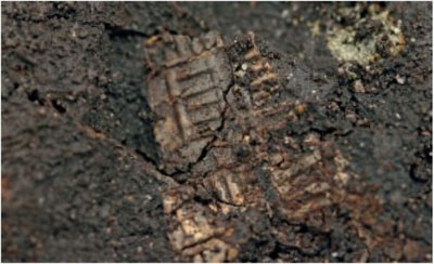 Blech.jpg (57.93 KiB) 24833 mal betrachtet Detailfoto eines stark abgebauten, verzierten Bronzeblechs, das nur noch als „Schatten“ auf der Erde aufliegt. (DENKMALPFLEGE IN BADEN-WURTTEMBERG. NACHRICHTENBLATT DER LANDESDENKMALPFLEGE 4/2011, S. 205) http://www.denkmalpflege-bw.de/publikationen-und-service/publikationen/nachrichtenblatt.html