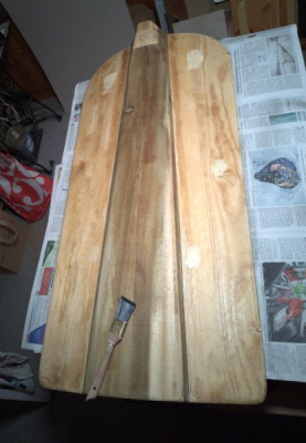 Schildrohling mit einer Schicht Hautleim